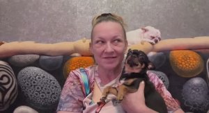 Ох уж этот Дзен со своими предупреждениями и ограничениями.