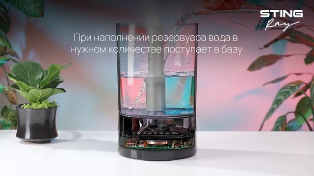 Инструкция по работе и уходу за увлажнителем STINGRAY ST-HF511A