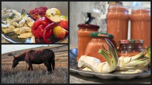 Октябрь в саду: прощание с теплом и зимний огород на подоконнике 🍂🥒✨