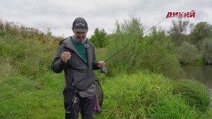 Мормышинг. В конце лета на пруду.