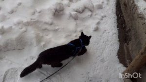 На улице хорошо.