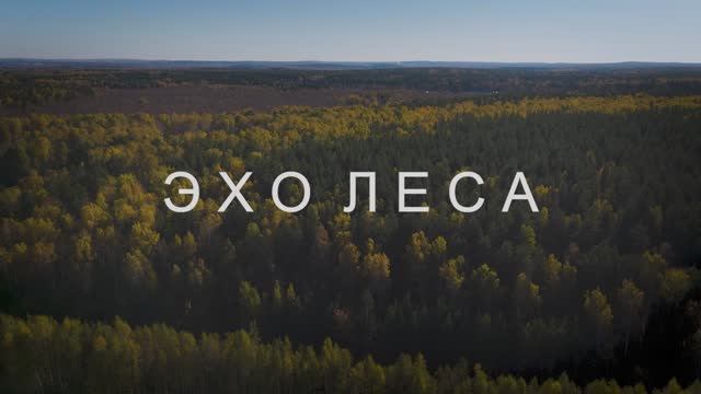 Обзор на квартал «Эхо леса» | Екатеринбург