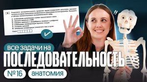 ЗАДАЧИ ПО АНАТОМИИ ИЗ сборника РОХЛОВА 2026| ЕГЭ по биологии 2026 | Вероника Вавилова