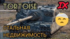 MAX Blitz Tortoise обзор