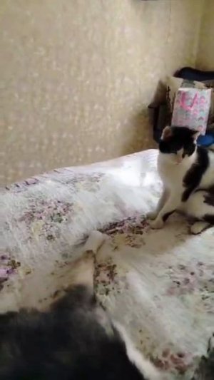 КОТЭ UFS