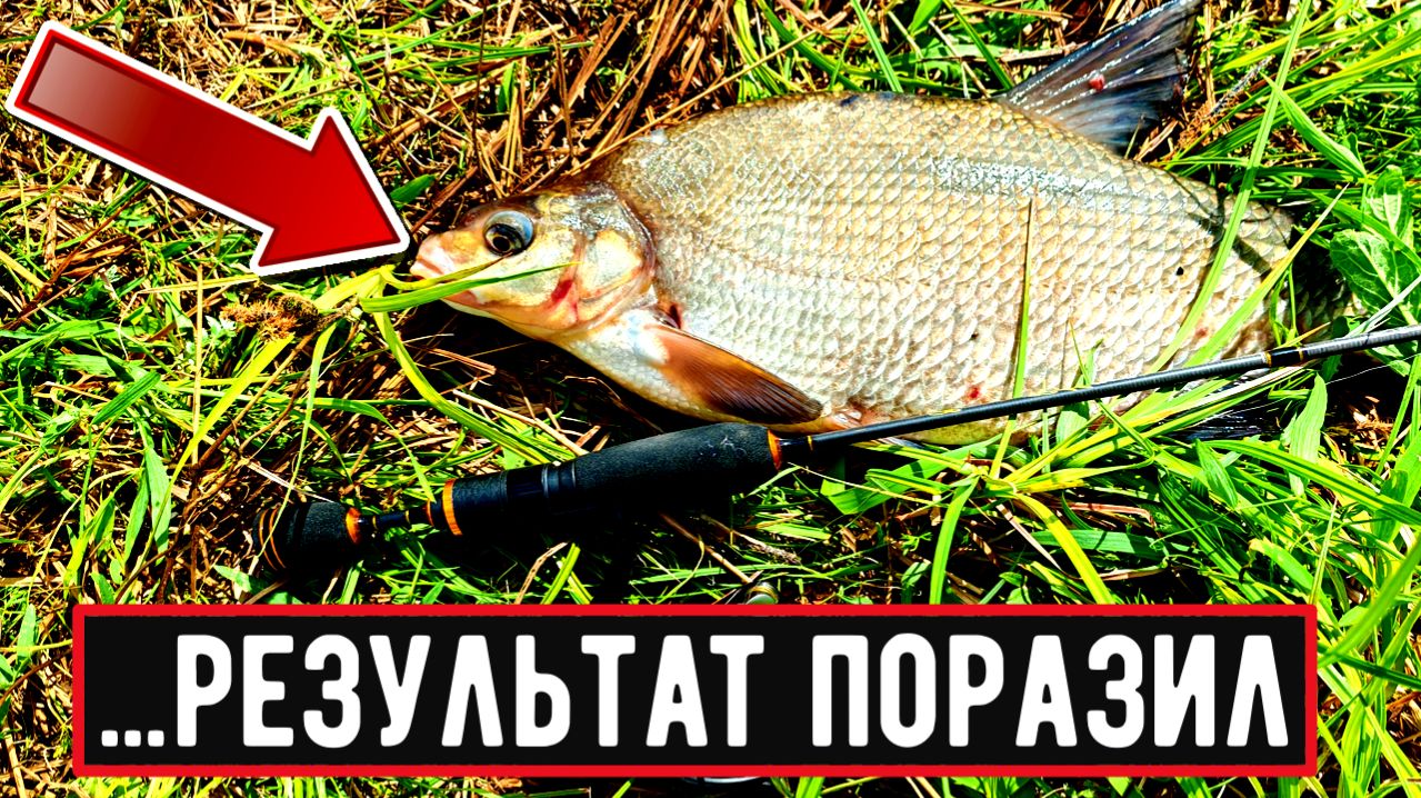 ТРОФЕЙНЫЙ Мормышинг с Ermine Nano 0,2-0,8 180/Лещи РВУТ Леску!!!