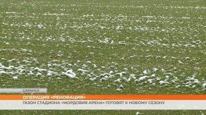 Реновация газона «Мордовия Арены»