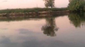 Отдых на десне Июнь 2022