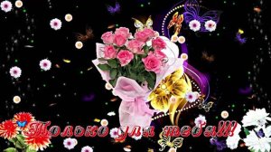 С Днём Рождения! Букеты роз 1 от Киностудии Мудрого Кота Тимофея!