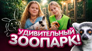 Влог Ника и Беата постетили контактный зоопарк