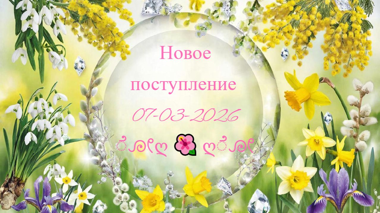 Новое поступление 07-03-2026