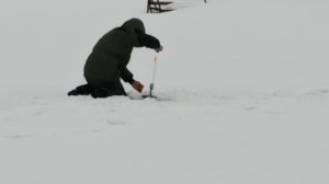 VID_20260305_111447_437