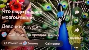 «Девочки и куры» что будет если сравнить