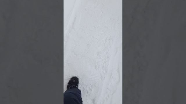 моя жизнь часть (не помню)