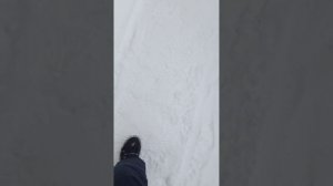 моя жизнь часть (не помню)