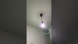 1080p Муракомары отокуют квартиры россиян ужас