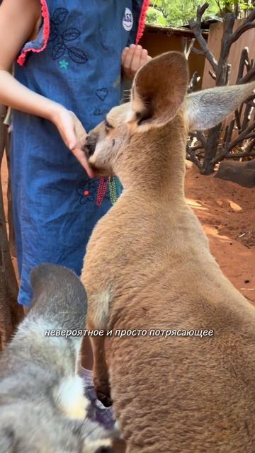 Как же это круто — показывать своим детям мир, о котором ты сам когда-то даже не смел мечтать.