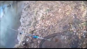 ✔Речной🌊 карась🐟✔