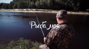 «Рыба моя»