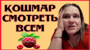 Бровченко _Кошмар _Смотреть всем _Обзор _Семья Бровченко _Нет слов