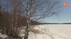 Программа «Город. Новости по-выборгски» от 5 марта 2026 года