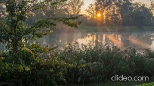 Артём Гельман - Встреча