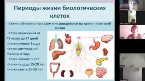 Почему надо принимать бады
