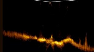 Active target 2XL зимой