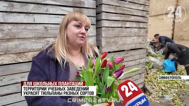 Тысячи тюльпанов высадят в школах и детских садах Симферопольского района