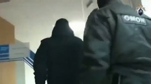 На Урале задержали руководителей «концлагеря» для собак: животных морили голодом, а из бюджета...