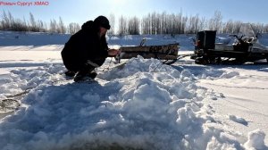 Жерлицы проверка. 22 день.