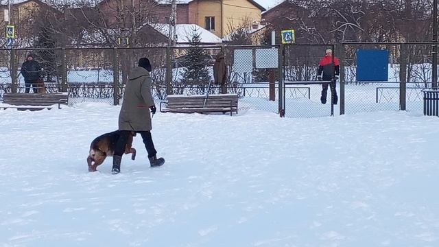 1.  выражено/перв ЕВГЕНИЯ ИЗ ФОРТУНА МЕРДИ (Леннон из Белого Яра – Фурла из Фортуна Мерди)