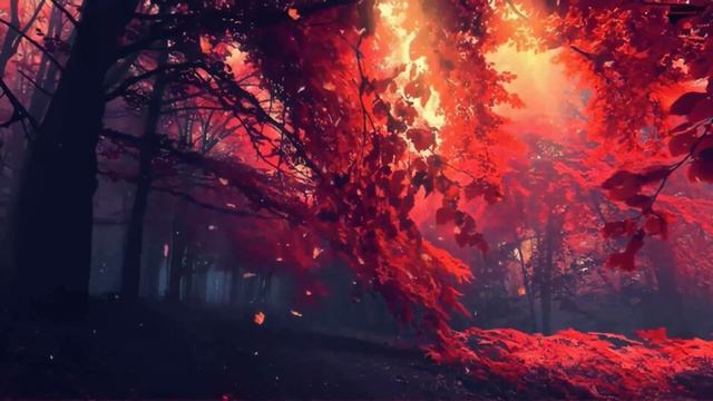 Вислоухий Фантастика юмор