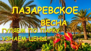 Лазаревское сочи,Лазаревское сегодня,Лазаревское отдых, Лазаревское обзор, Лазаревское отели