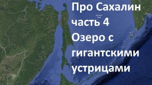 Про Сахалин. Часть 4. Гигантские устрицы озера Буссе