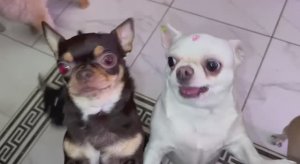 Очень вкусно с утра сыриком перекусить.