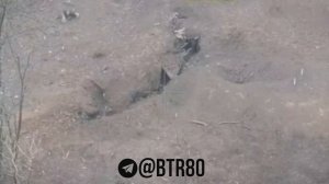 Хорошая работа.