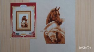 Вышивка, продвижения, финиш.