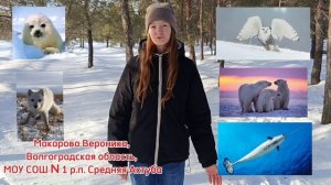 Макарова_Волгоградская область