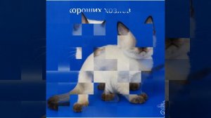 Слайд-шоу фото Rihanna Fusion Gamlet 3 месяца