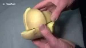 Кубик Бульбика.