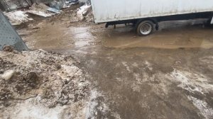 Влог. Фотолампа. Семена перцев. 04.03.2026