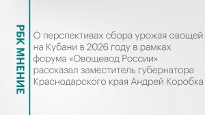 Прогноз: урожай овощей на Кубани в 2026 году || РБК Мнение