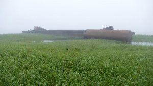 Шушму, вторая волна цунами, 30 июля 2025