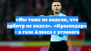 «Мы тоже не видели, что арбитр не видел». «Краснодар» – о голе Алвеса с углового