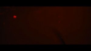 Чужой_Ромул (Русский трейлер)