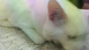 МЕМ МАААААРСИК НЕЕЕЕТ🤣🤣🤣🤣🤣🤣🤣