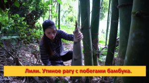 Лили. Утиное рагу с ферментированными побегами бамбука.