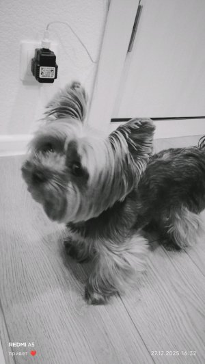 ❤️❤️❤️ внизу мой ТГ канал 👇