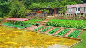 Делаю грядки для выращивания овощей на берегу пруда. Серия 42. Ли Фук Ви